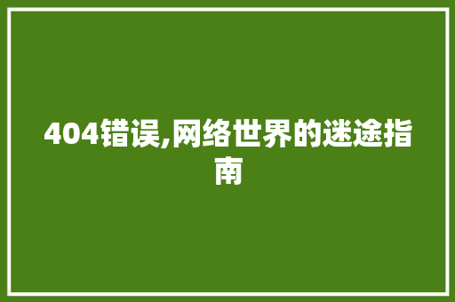 404错误,网络世界的迷途指南