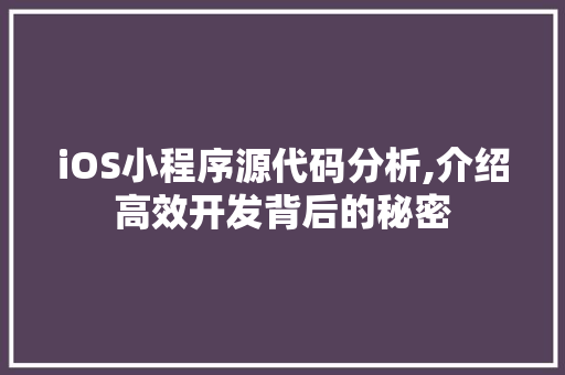 iOS小程序源代码分析,介绍高效开发背后的秘密