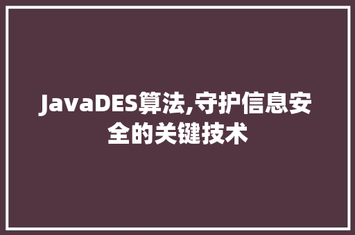 JavaDES算法,守护信息安全的关键技术