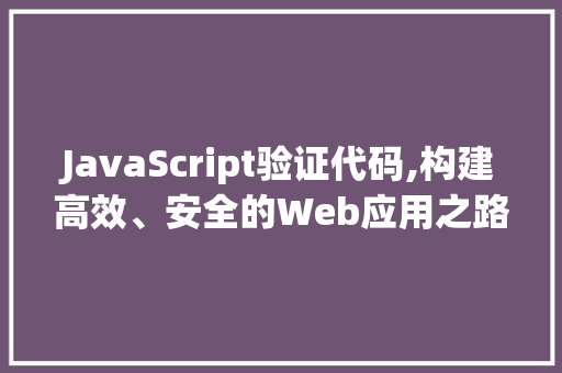 JavaScript验证代码,构建高效、安全的Web应用之路