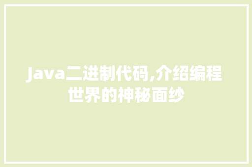 Java二进制代码,介绍编程世界的神秘面纱