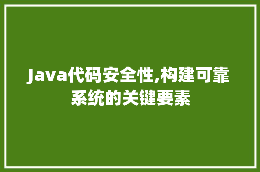 Java代码安全性,构建可靠系统的关键要素