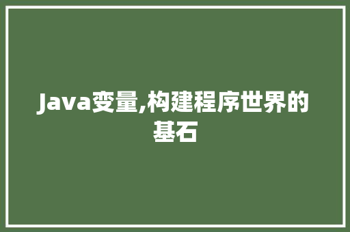 Java变量,构建程序世界的基石