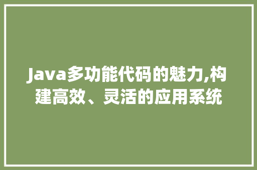 Java多功能代码的魅力,构建高效、灵活的应用系统