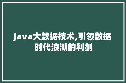 Java大数据技术,引领数据时代浪潮的利剑