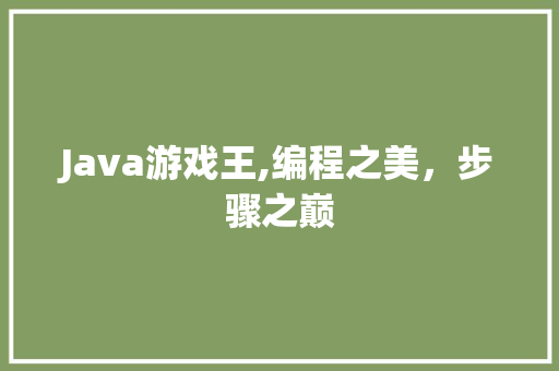 Java游戏王,编程之美，步骤之巅