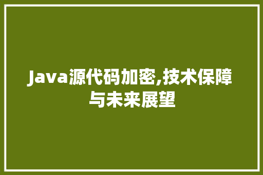 Java源代码加密,技术保障与未来展望