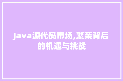 Java源代码市场,繁荣背后的机遇与挑战