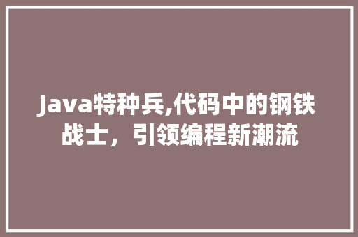 Java特种兵,代码中的钢铁战士，引领编程新潮流