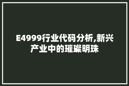 E4999行业代码分析,新兴产业中的璀璨明珠