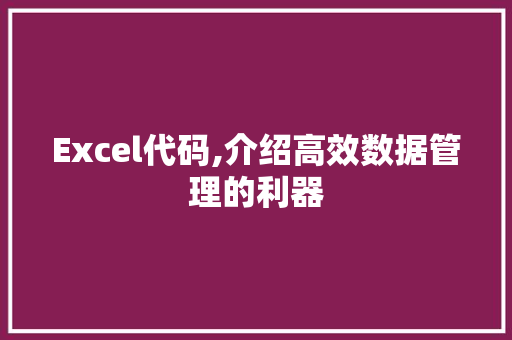 Excel代码,介绍高效数据管理的利器