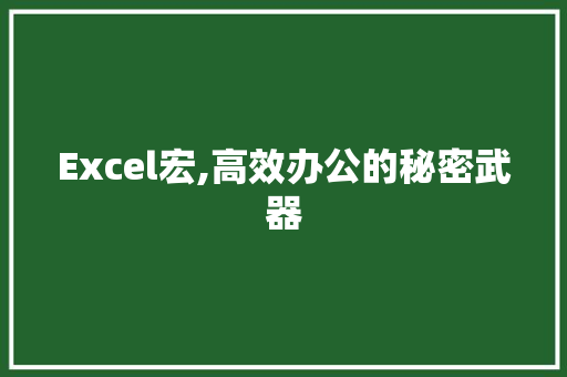 Excel宏,高效办公的秘密武器