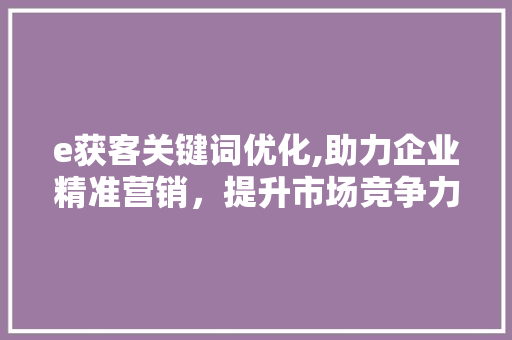 e获客关键词优化,助力企业精准营销，提升市场竞争力