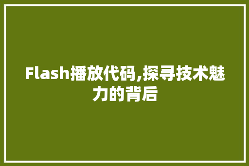 Flash播放代码,探寻技术魅力的背后