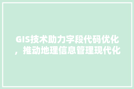 GIS技术助力字段代码优化，推动地理信息管理现代化