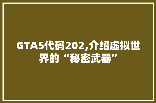 GTA5代码202,介绍虚拟世界的“秘密武器”