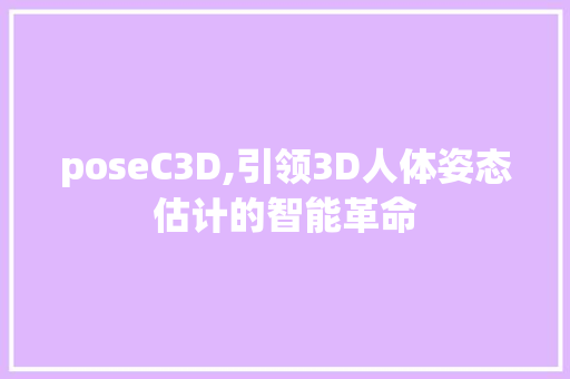 poseC3D,引领3D人体姿态估计的智能革命