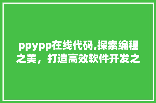 ppypp在线代码,探索编程之美，打造高效软件开发之路