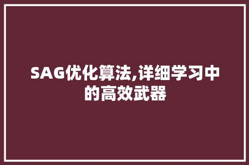 SAG优化算法,详细学习中的高效武器