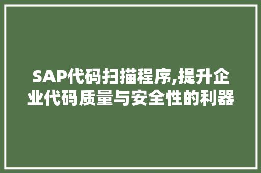 SAP代码扫描程序,提升企业代码质量与安全性的利器