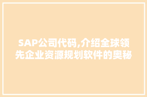 SAP公司代码,介绍全球领先企业资源规划软件的奥秘