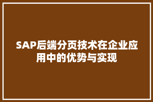 SAP后端分页技术在企业应用中的优势与实现