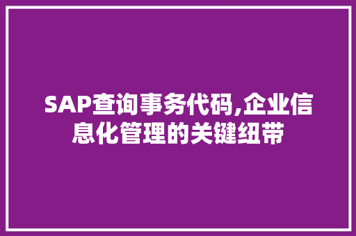 SAP查询事务代码,企业信息化管理的关键纽带