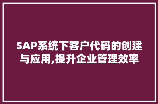 SAP系统下客户代码的创建与应用,提升企业管理效率的关键一环