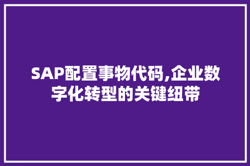 SAP配置事物代码,企业数字化转型的关键纽带