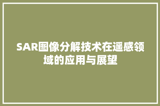 SAR图像分解技术在遥感领域的应用与展望