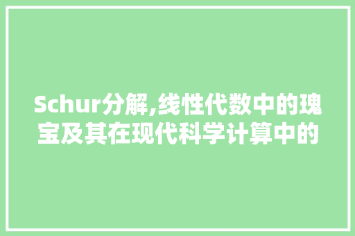 Schur分解,线性代数中的瑰宝及其在现代科学计算中的应用