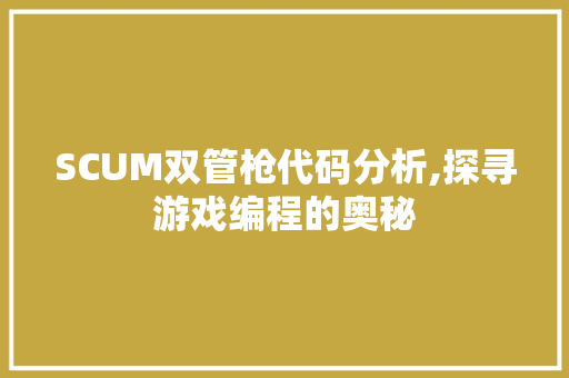 SCUM双管枪代码分析,探寻游戏编程的奥秘