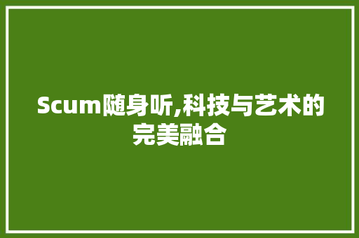 Scum随身听,科技与艺术的完美融合