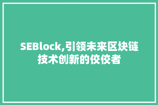 SEBlock,引领未来区块链技术创新的佼佼者