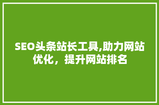 SEO头条站长工具,助力网站优化，提升网站排名 Java