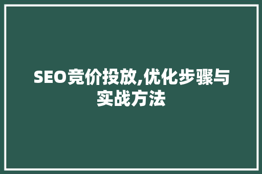 SEO竞价投放,优化步骤与实战方法