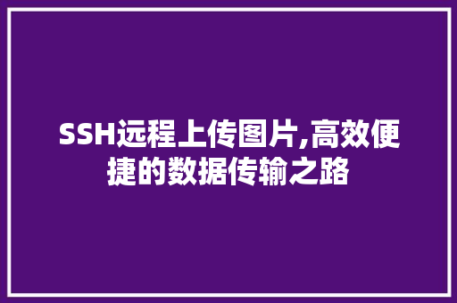 SSH远程上传图片,高效便捷的数据传输之路 NoSQL