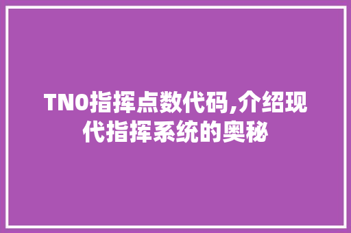 TN0指挥点数代码,介绍现代指挥系统的奥秘