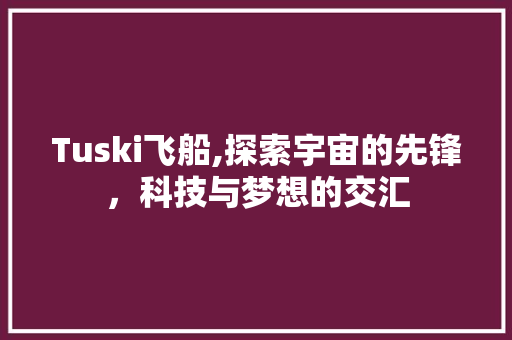 Tuski飞船,探索宇宙的先锋，科技与梦想的交汇