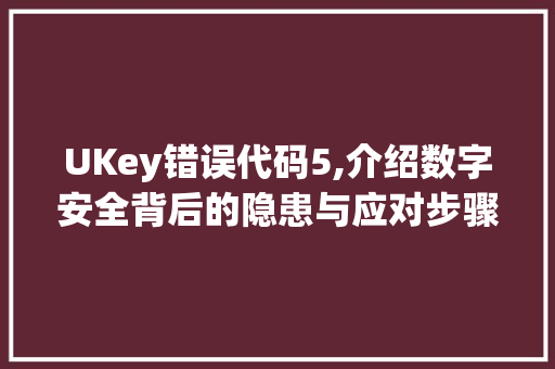 UKey错误代码5,介绍数字安全背后的隐患与应对步骤 Webpack