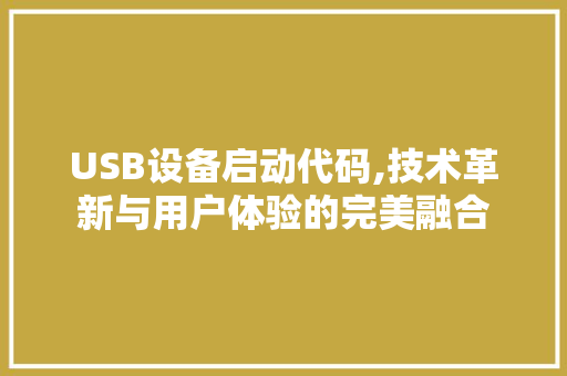 USB设备启动代码,技术革新与用户体验的完美融合