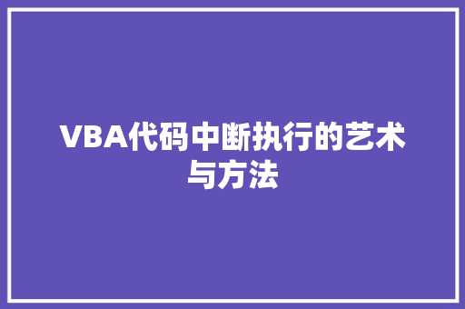 VBA代码中断执行的艺术与方法