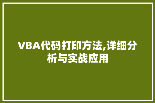 VBA代码打印方法,详细分析与实战应用