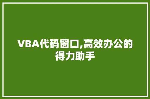 VBA代码窗口,高效办公的得力助手