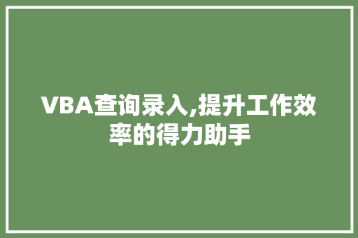 VBA查询录入,提升工作效率的得力助手