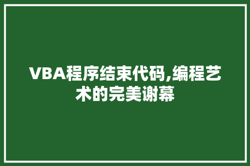 VBA程序结束代码,编程艺术的完美谢幕