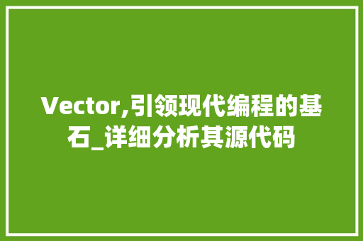 Vector,引领现代编程的基石_详细分析其源代码