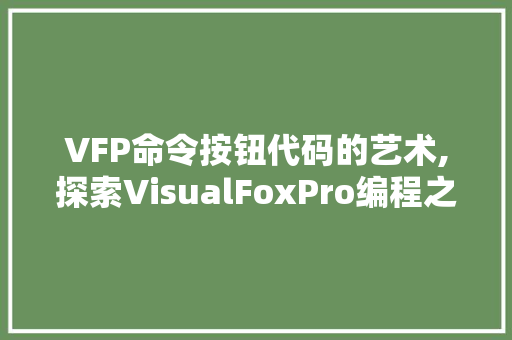 VFP命令按钮代码的艺术,探索VisualFoxPro编程之美