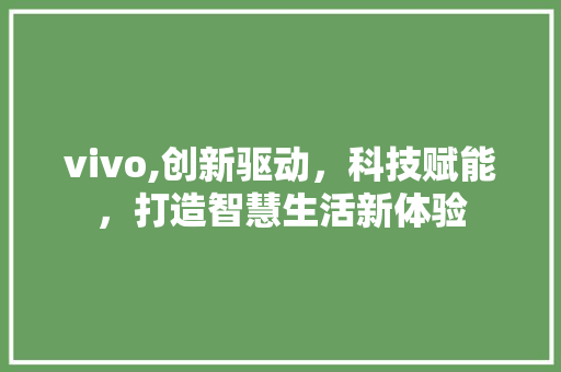 vivo,创新驱动，科技赋能，打造智慧生活新体验