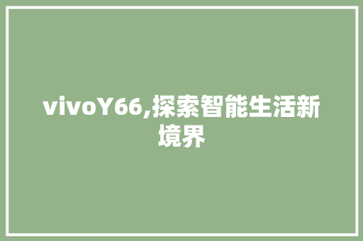 vivoY66,探索智能生活新境界